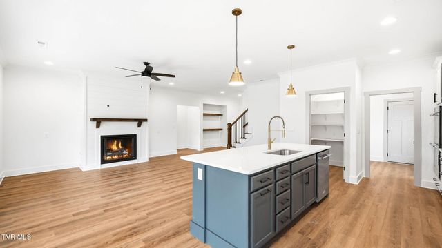 1445 Cabot Cove, Jonesborough, TN 37659