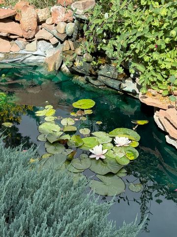 8913 Ortega Court NW, Los Ranchos, NM 87114