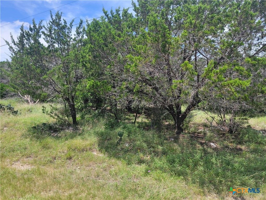 16011 Brazos Drive, Temple, TX 76502