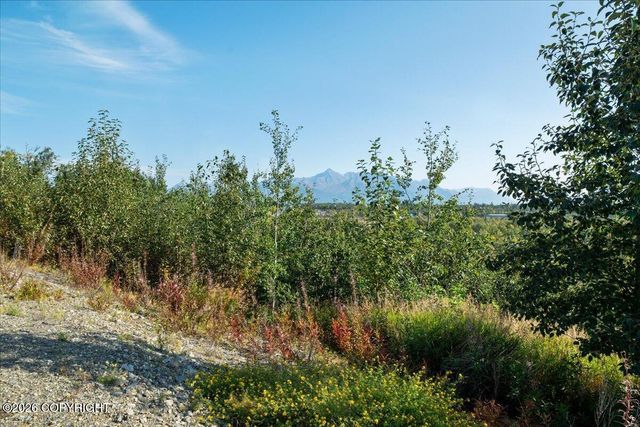 2525 N Larkspur Hill Circle, Palmer, AK 99645