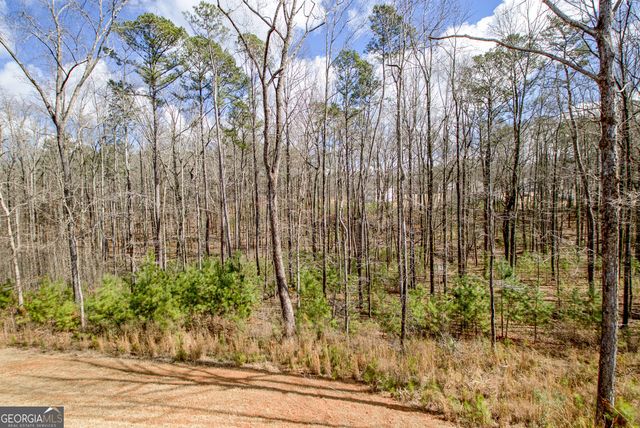 169 Emery Nell Lane, Newnan, GA 30263