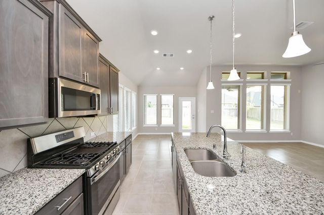 17314 Willow Lexington Court, Hockley, TX 77447