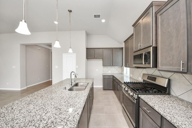 17314 Willow Lexington Court, Hockley, TX 77447