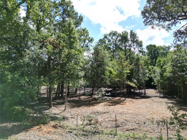000 Red Oak Drive, Plantersville, TX 77363
