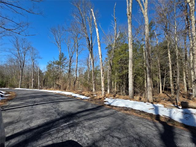 Gregory Road, Monticello, NY 12701