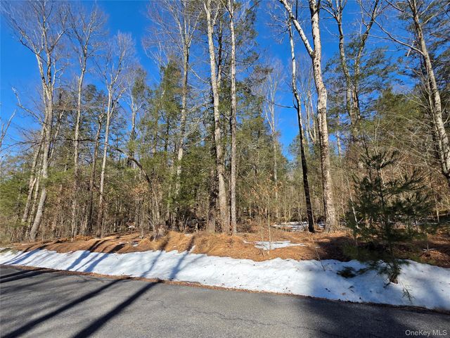 Gregory Road, Monticello, NY 12701