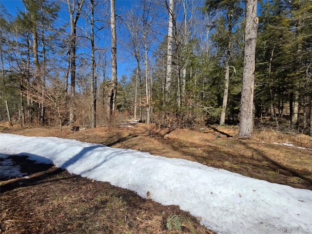 Gregory Road, Monticello, NY 12701