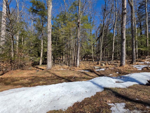 Gregory Road, Monticello, NY 12701