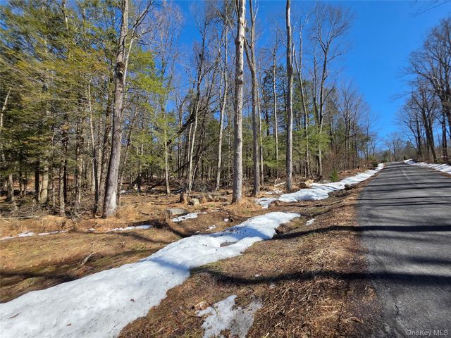 Gregory Road, Monticello, NY 12701
