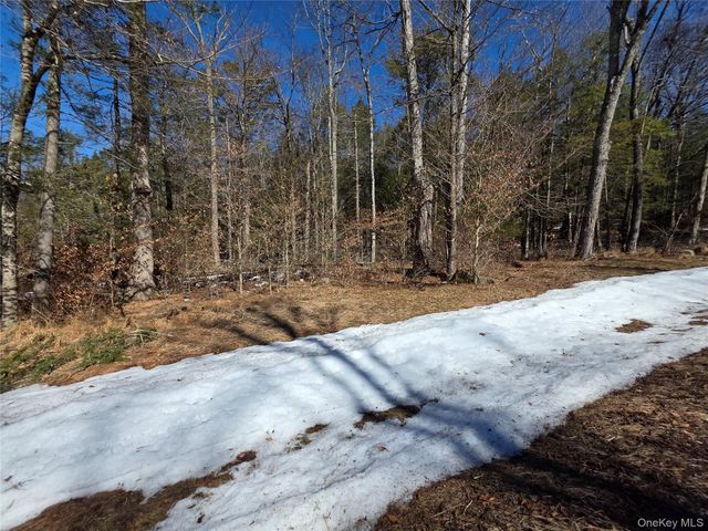 Gregory Road, Monticello, NY 12701