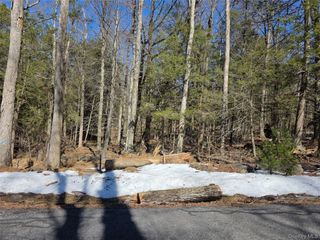 Gregory Road, Monticello, NY 12701