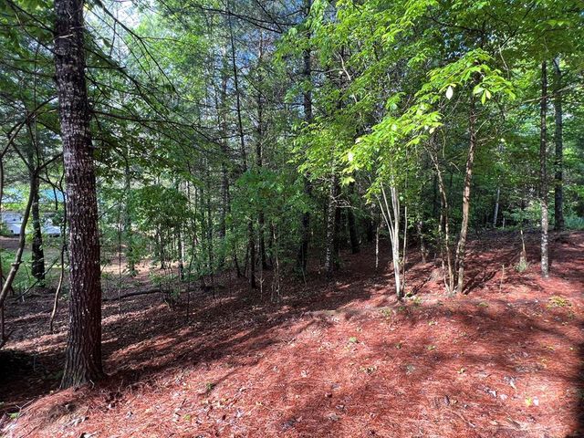 99 Conestoga Trail, Murphy, NC 28906