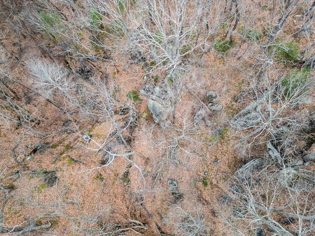 6847 Crowell Gap RD, Roanoke, VA 24014