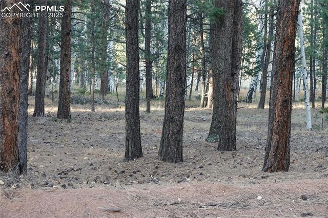 1360 Windflower Lane, Woodland Park, CO 80863