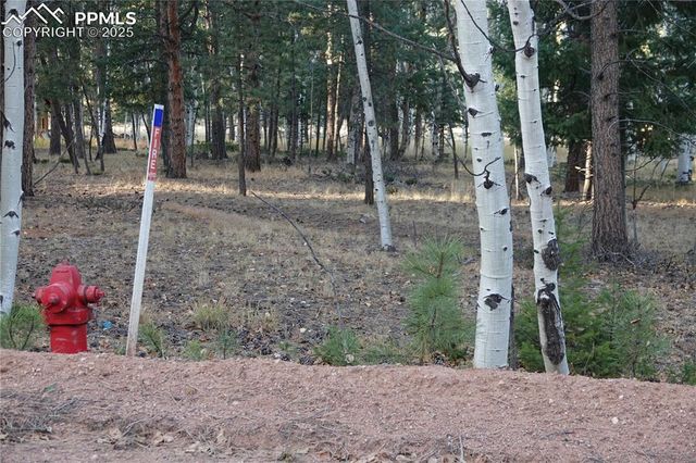 1360 Windflower Lane, Woodland Park, CO 80863