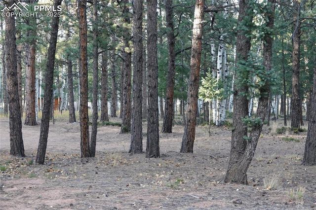 1360 Windflower Lane, Woodland Park, CO 80863