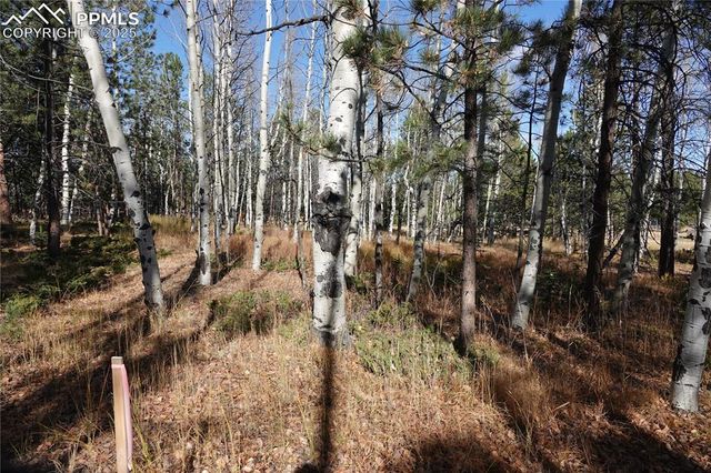 1360 Windflower Lane, Woodland Park, CO 80863