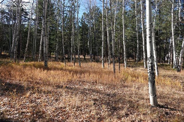 1360 Windflower Lane, Woodland Park, CO 80863