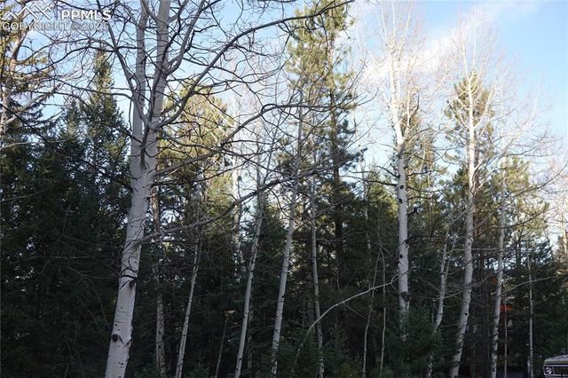 1360 Windflower Lane, Woodland Park, CO 80863