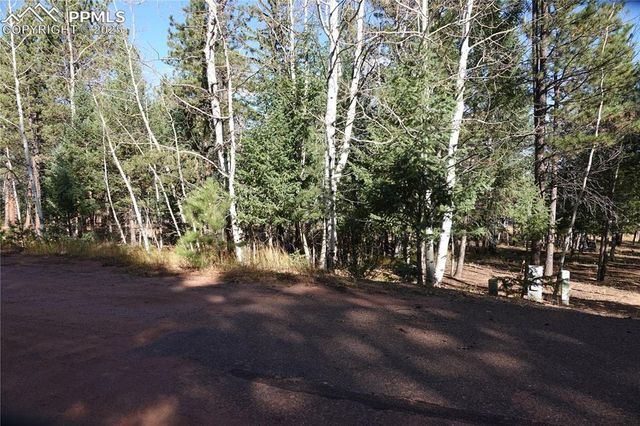 1360 Windflower Lane, Woodland Park, CO 80863