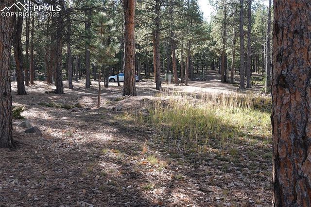 1360 Windflower Lane, Woodland Park, CO 80863