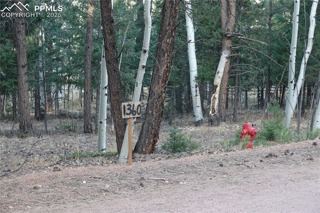 1360 Windflower Lane, Woodland Park, CO 80863