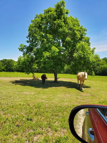 0000 Hwy 276, Point, TX 75472