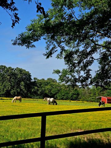 0000 Hwy 276, Point, TX 75472