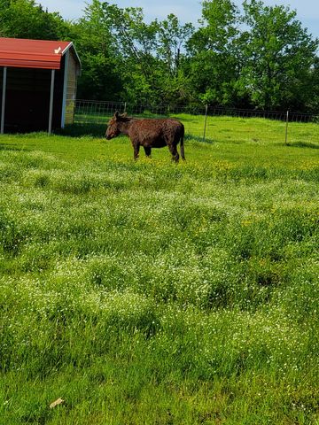 0000 Hwy 276, Point, TX 75472