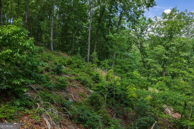 LOT 295A Pebble Trace, Talking Rock, GA 30175
