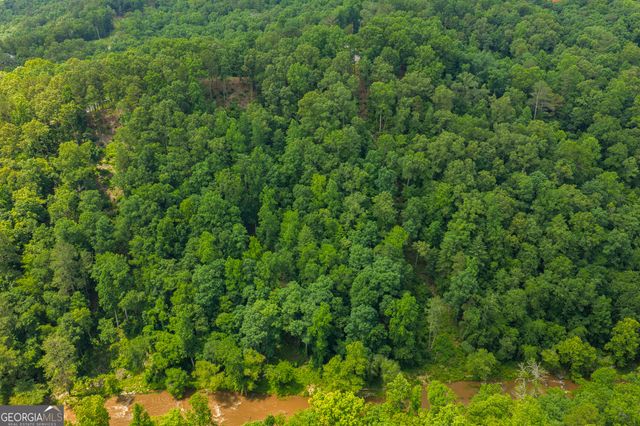 LOT 295A Pebble Trace, Talking Rock, GA 30175