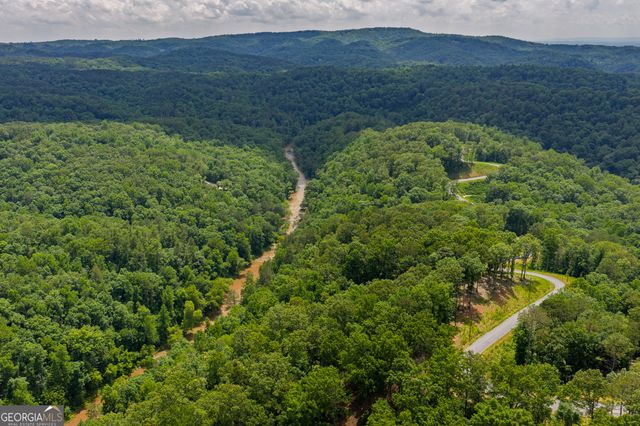 LOT 295A Pebble Trace, Talking Rock, GA 30175