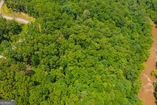 LOT 295A Pebble Trace, Talking Rock, GA 30175