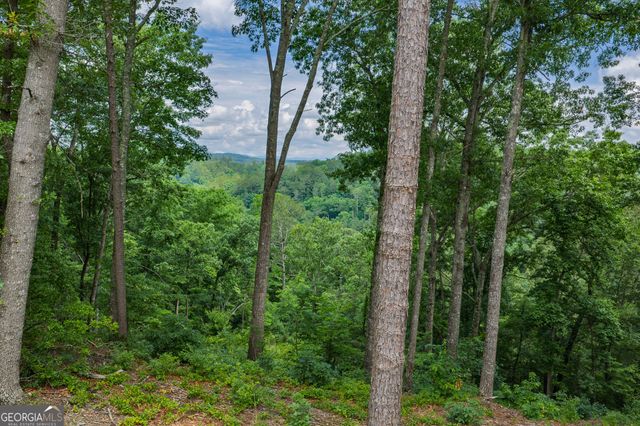 LOT 295A Pebble Trace, Talking Rock, GA 30175