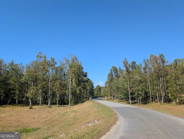 LOT 295A Pebble Trace, Talking Rock, GA 30175