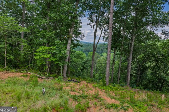 LOT 295A Pebble Trace, Talking Rock, GA 30175