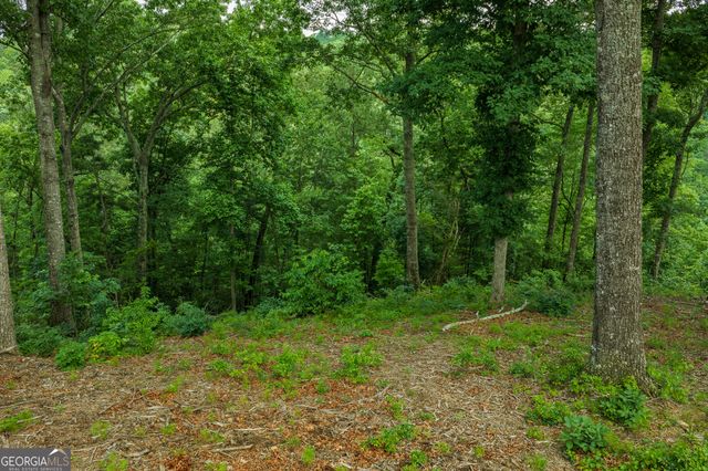 LOT 295A Pebble Trace, Talking Rock, GA 30175
