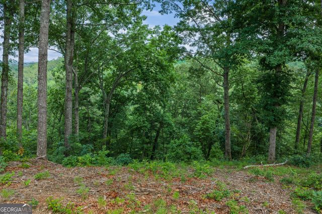 LOT 295A Pebble Trace, Talking Rock, GA 30175