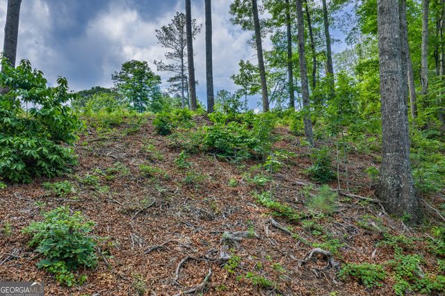 LOT 295A Pebble Trace, Talking Rock, GA 30175