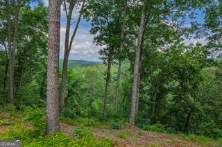 LOT 295A Pebble Trace, Talking Rock, GA 30175