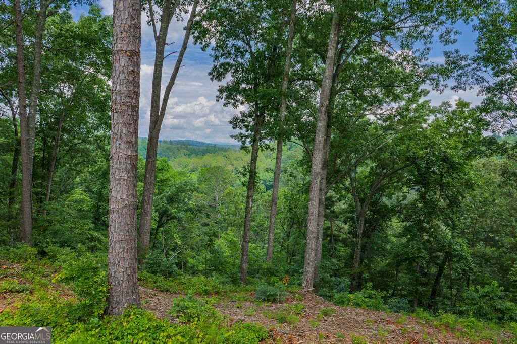 LOT 295A Pebble Trace, Talking Rock, GA 30175