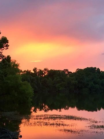 1108 County Road 136a, Alvin, TX 77511