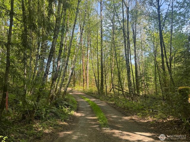 151 W Clark Rd, Shelton, WA 98584