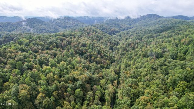 1515 Ned Clark Road, Bean Station, TN 37708