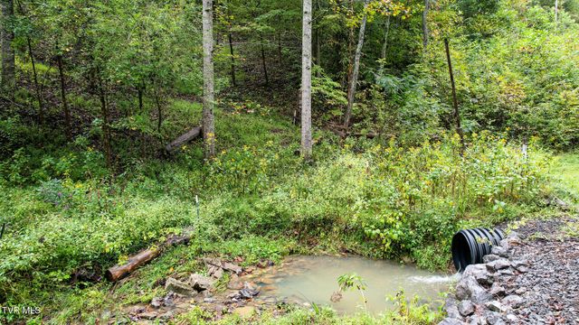 1515 Ned Clark Road, Bean Station, TN 37708