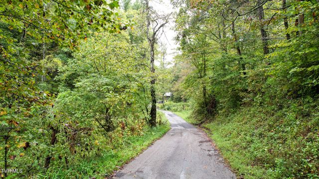 1515 Ned Clark Road, Bean Station, TN 37708