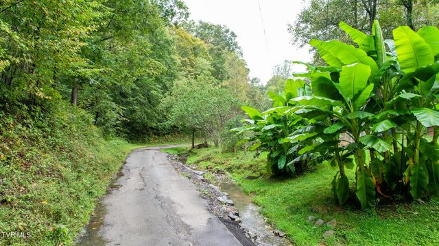 1515 Ned Clark Road, Bean Station, TN 37708