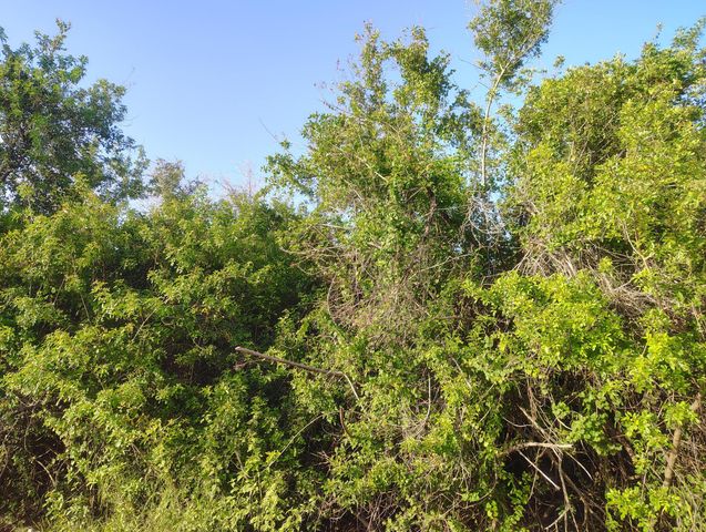 3921 SW Port Saint Lucie Boulevard, Port St. Lucie, Port St Lucie, FL 34953