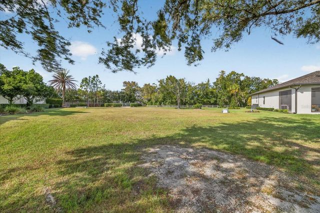 3926 COVE LAKE PLACE, Land O Lakes, FL 34639