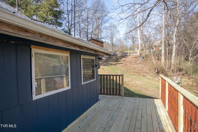 331 Bear Cage Road, Roan Mountain, TN 37687